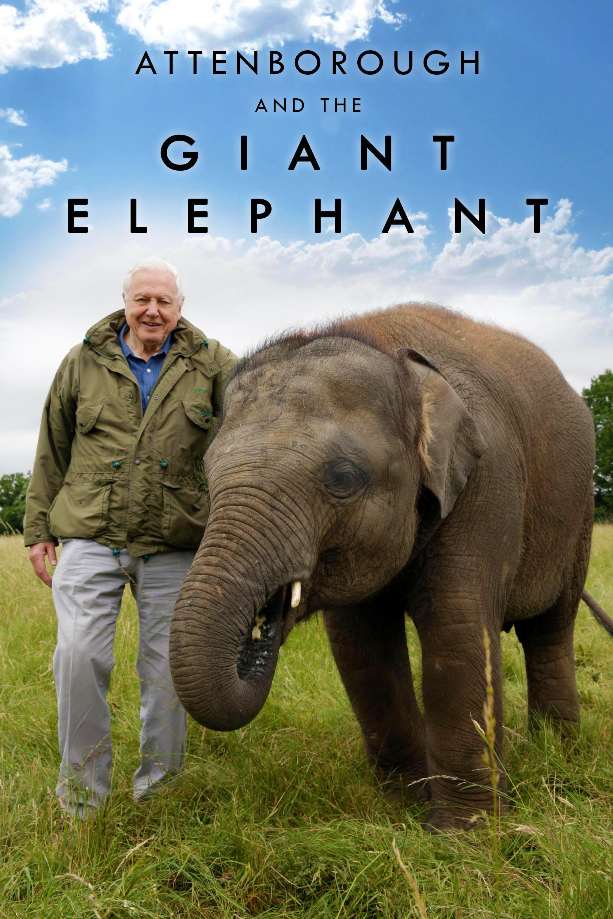 David Attenborough in Attenborough and the Giant Elephant (2017)