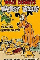 Pluto's Quin-puplets (1937)