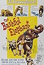 Kai Fischer, Molly McGowan, and Helmut Schmid in The Bashful Elephant (1962)