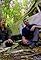 Zachary Quinto in the Panama Jungle's primary photo