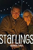 Starlings (2012)