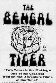 Primary photo for The Bengal Tiger