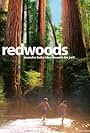 Redwoods (2009)