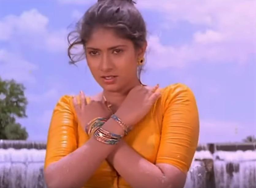 Sanghavi in Nattamai (1994)