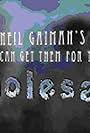 Neil Gaiman's We Can Get Them for You Wholesale (2013)