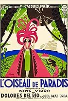 L'oiseau de paradis