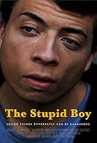 The Stupid Boy