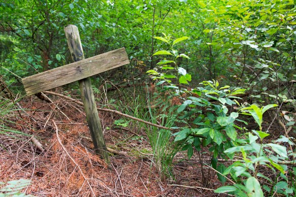Simple wooden cross on nature grave in the forest