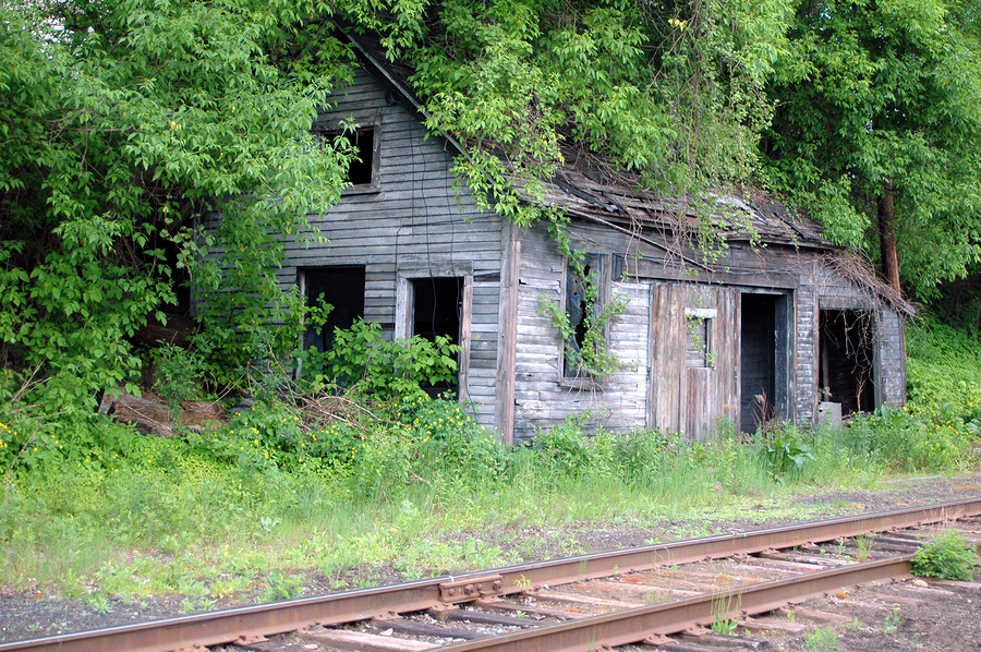 abandoned building overgrowin with trees and vines along railroad tracks