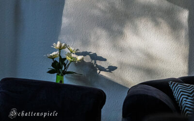 Nur eins (4) . . .