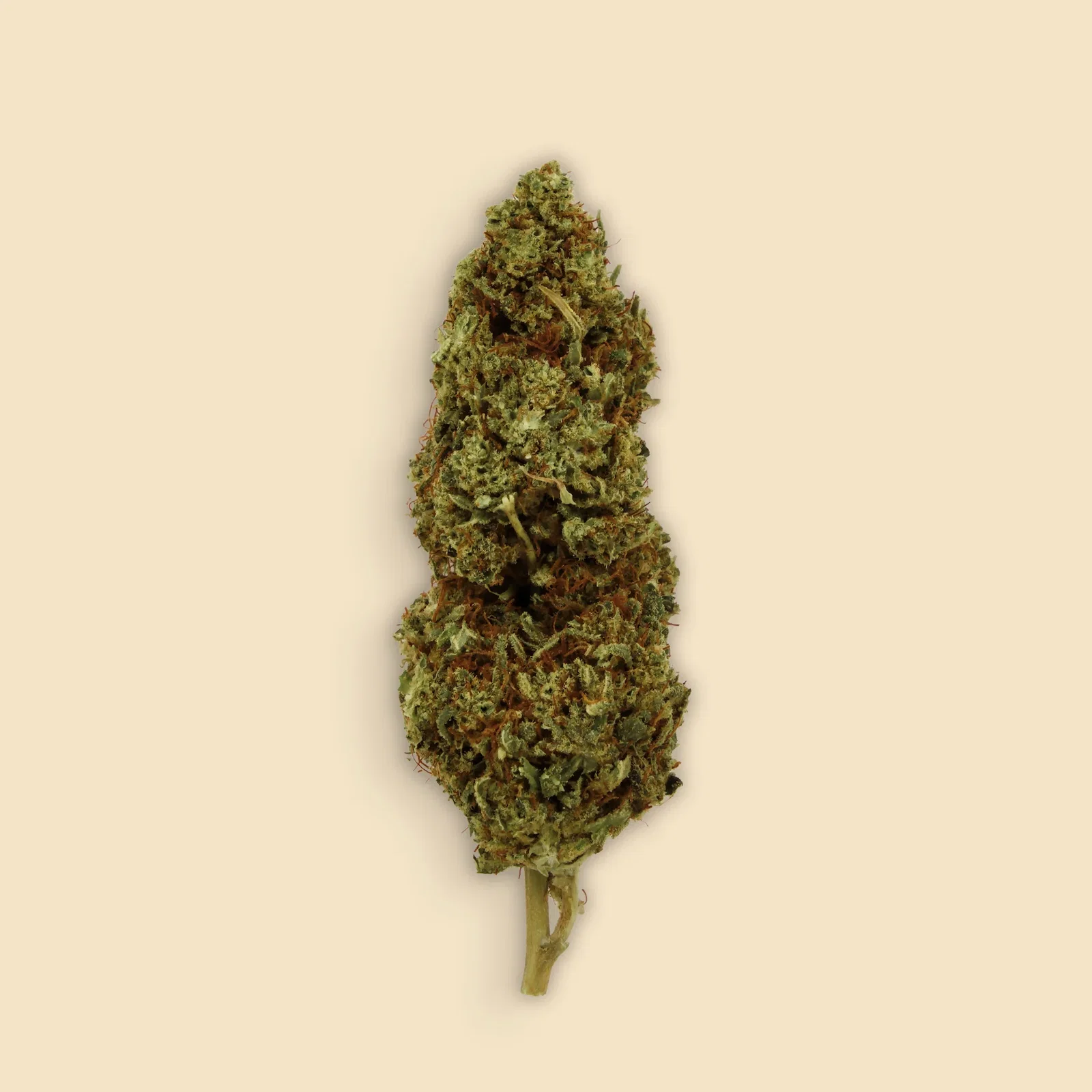 Maionais CBD 17 Cogollos Blueberry | Maionais