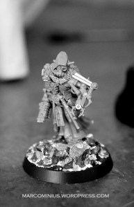 wip 24
