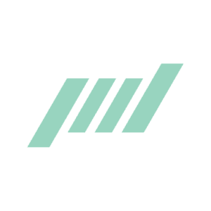 Mint Incorporation Limited