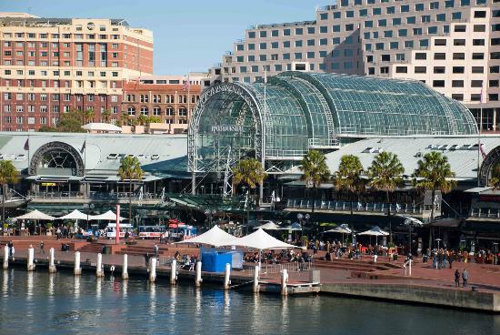 Image result for dinner Darling Harbour