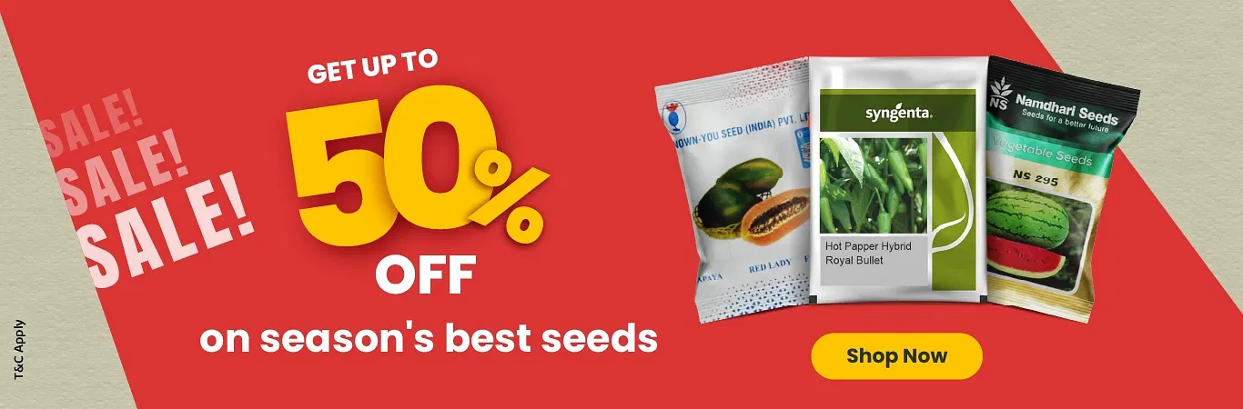 Micro Campaign I Seeds Image 1