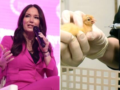 Left: Brooke Rollins. Right: 14 March 2022, Saxony, Pehritzsch B. Eilenburg: Poultry farme