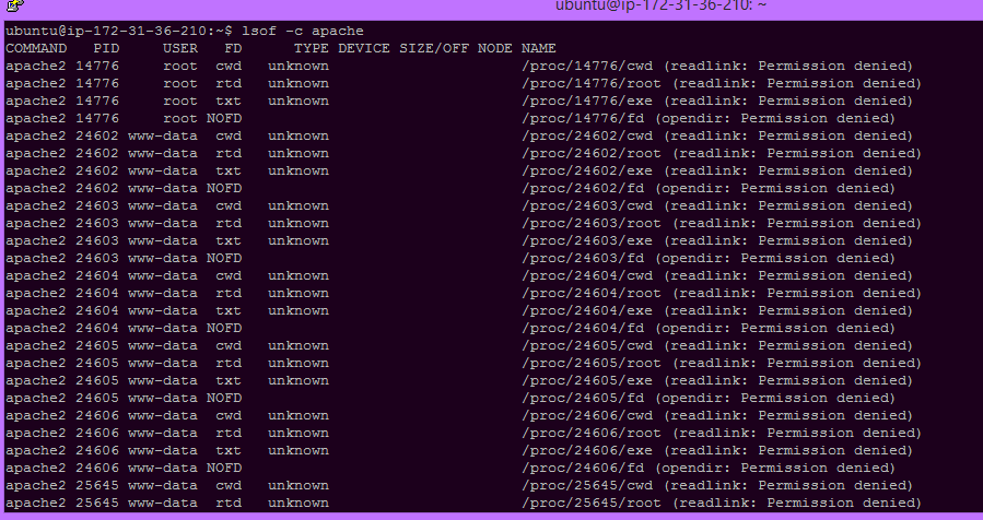 list all open files by a particular process