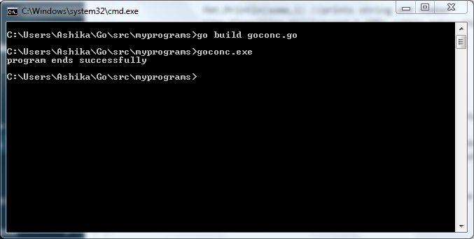 2 GoRoutines in Golang Causing Race Condition