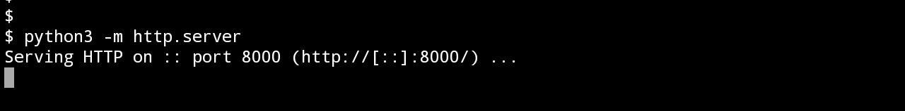 The python3 server command