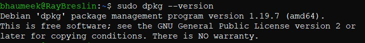 checking version of dpkg