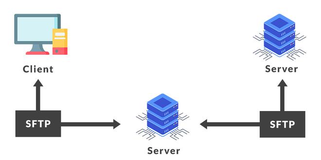 Client-Server