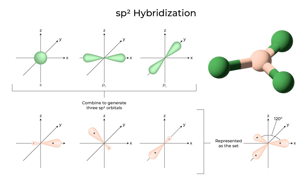 sp2 Hybridization