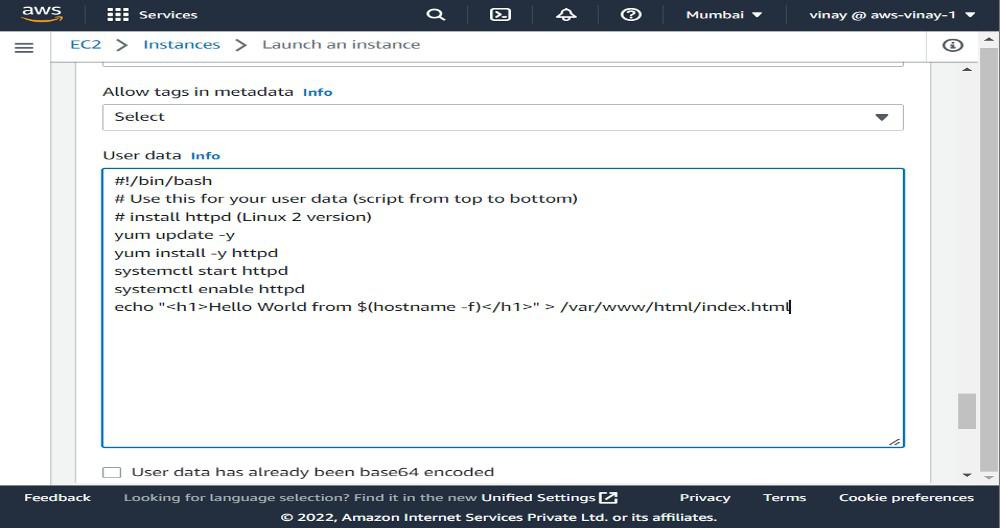 User Data Script