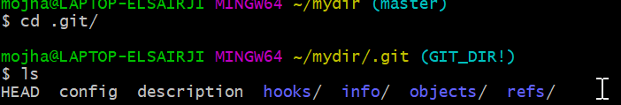 .git-hooks