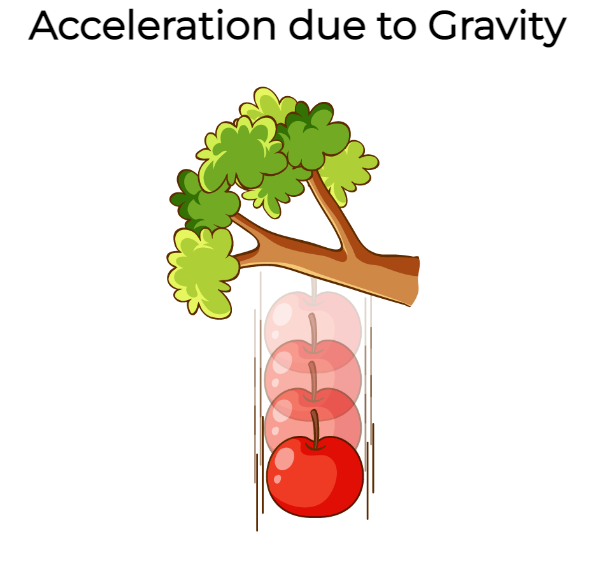 Acceleration due to gravity