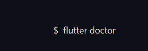 Run the flutter doctor