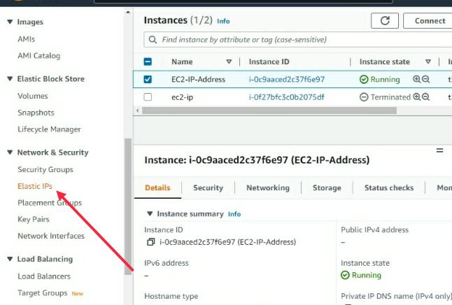 Elastic IP