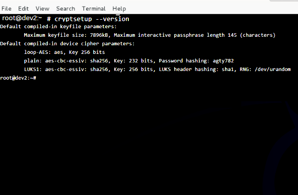Checking Cryptsetup version