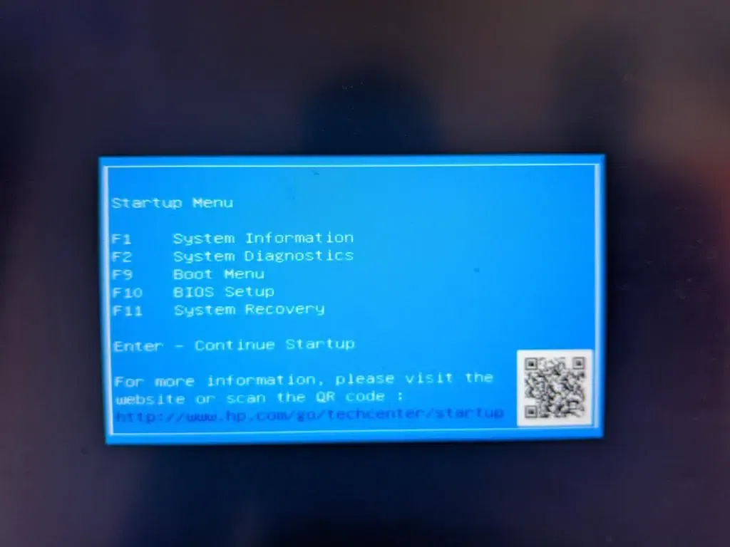 choose the Boot Menu from the options.