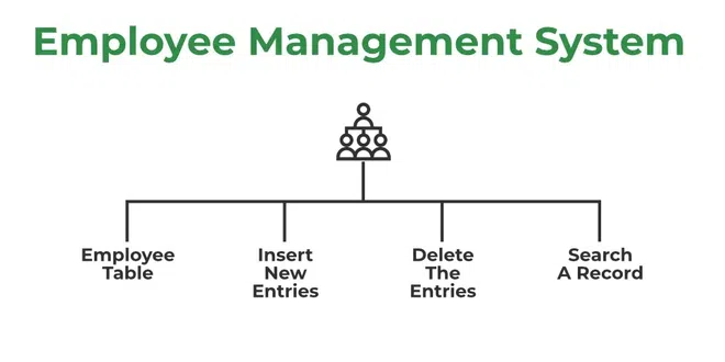 Employee Management System in C