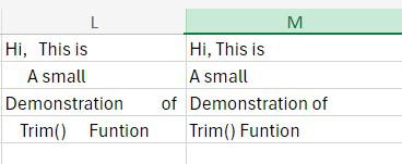 Trim Function in Excel
