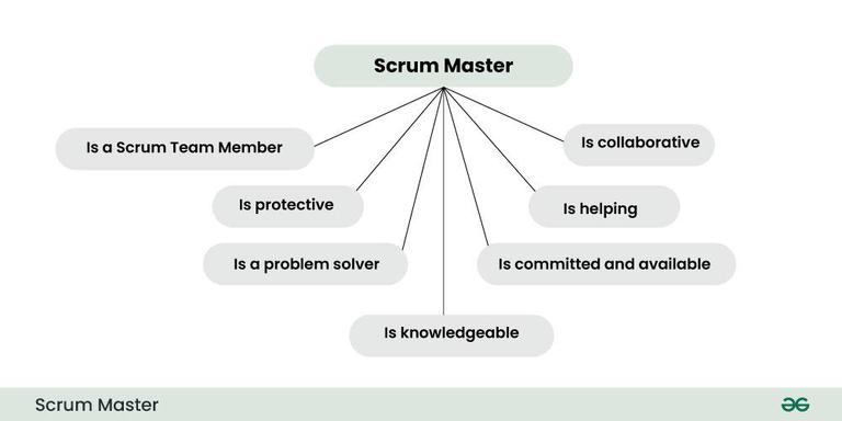 Scrum-Master- in scrum team