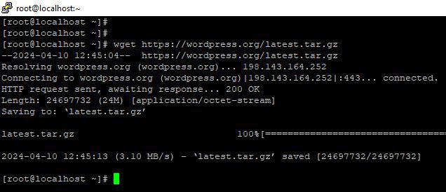Downloading WordPress Package