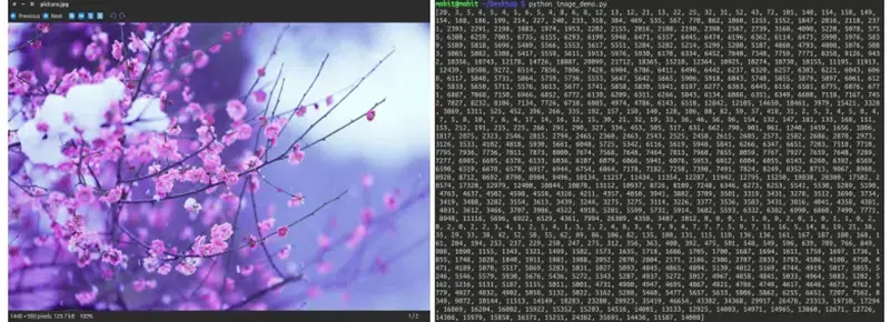 getting-a-histogram-of-image-in-python-copy
