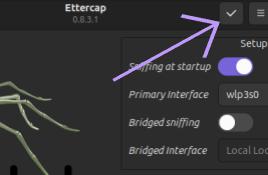 Start Ettercap