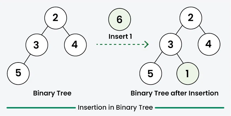 Insertion-in-Binary-Tree