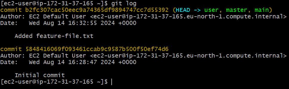 Screenshot-2024-08-14-231328