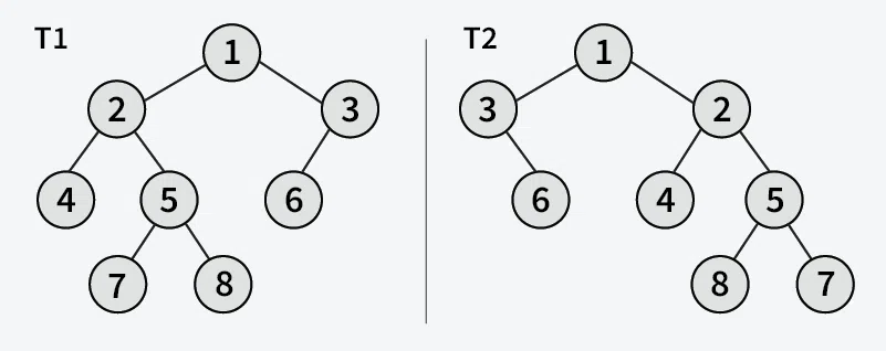 Tree-Isomorphism-Problem