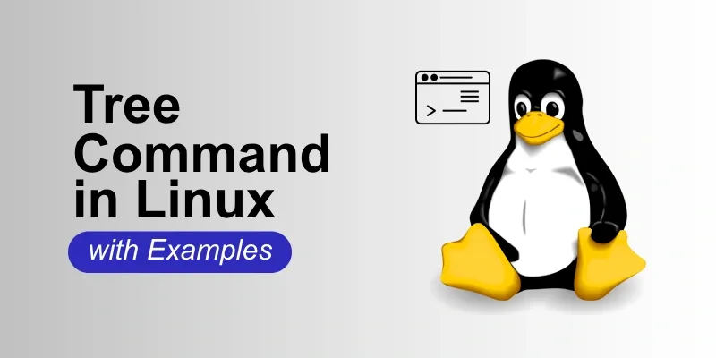 Tree-Command-in-Linux-with-Examples