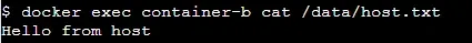 Check-Shared-File-in-Container-B
