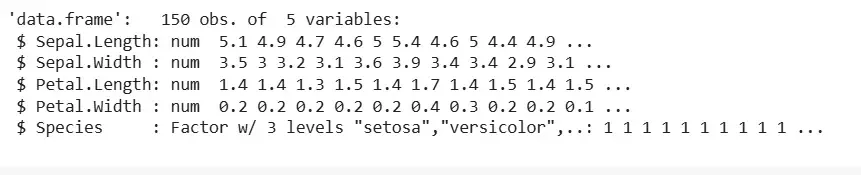 dataset
