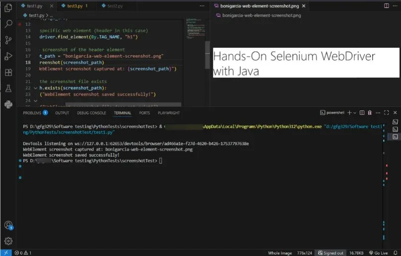 WebElement-capturing