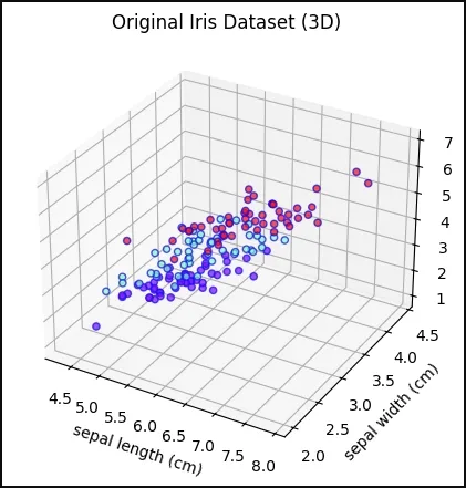 irisdata