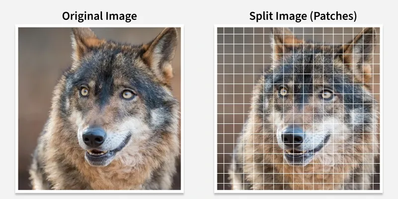 split_image_patches_