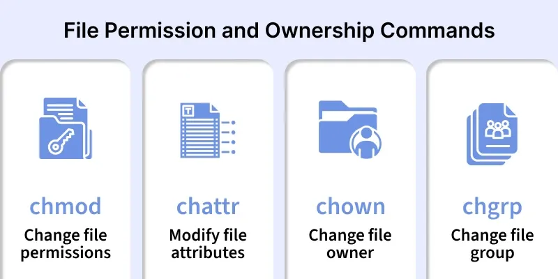 file_permission_and_ownership_commands